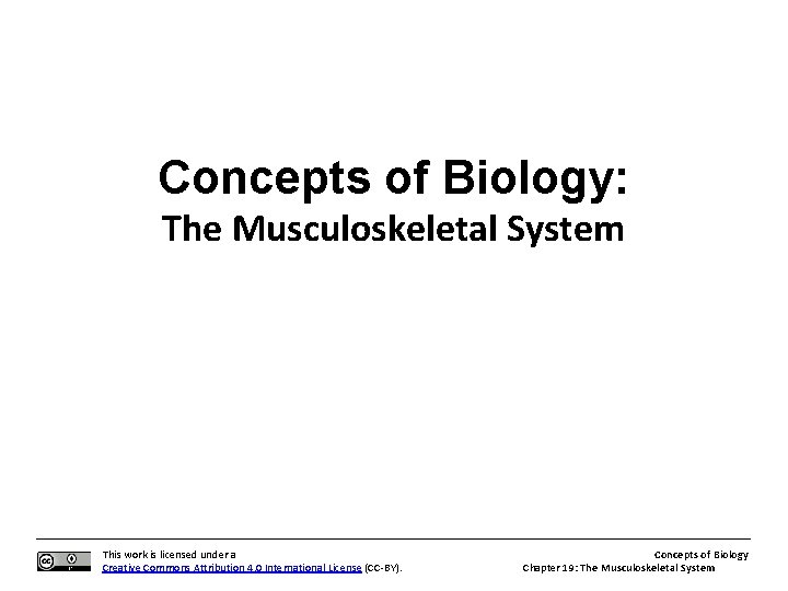 Concepts of Biology: The Musculoskeletal System This work is licensed under a Creative Commons