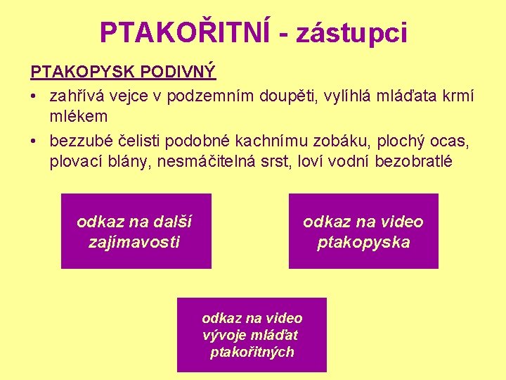 PTAKOŘITNÍ - zástupci PTAKOPYSK PODIVNÝ • zahřívá vejce v podzemním doupěti, vylíhlá mláďata krmí