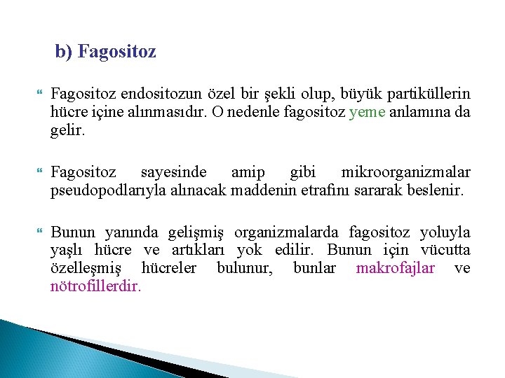b) Fagositoz endositozun özel bir şekli olup, büyük partiküllerin hücre içine alınmasıdır. O nedenle