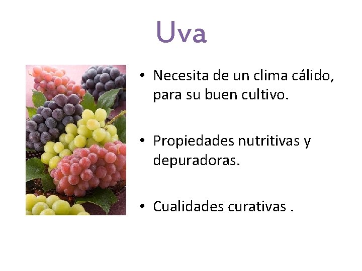 Uva • Necesita de un clima cálido, para su buen cultivo. • Propiedades nutritivas Uva • Necesita de un clima cálido, para su buen cultivo. • Propiedades nutritivas