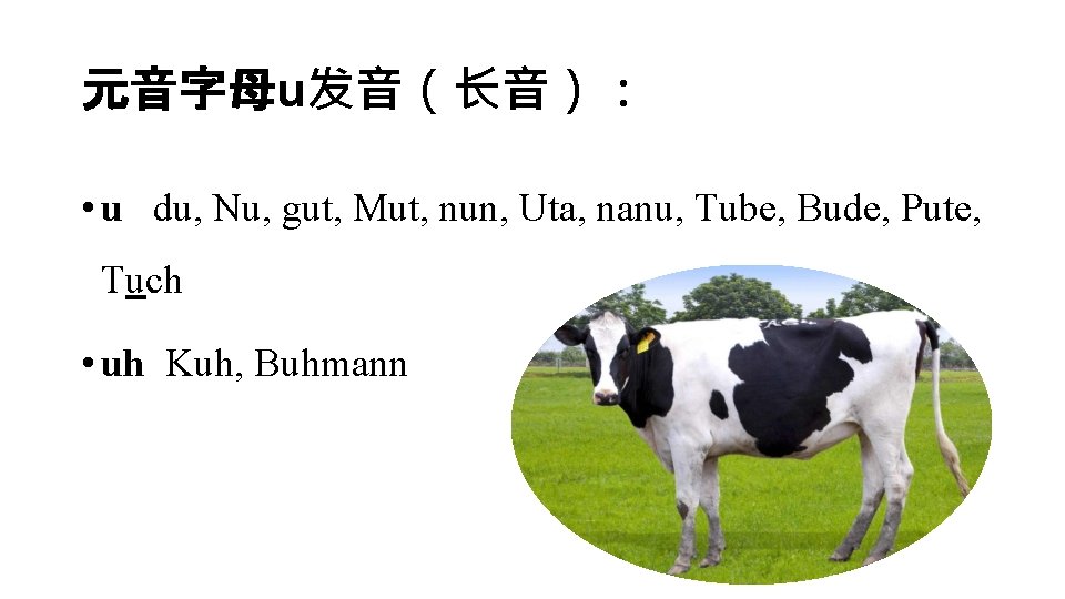 元音字母u发音（长音）： • u du, Nu, gut, Mut, nun, Uta, nanu, Tube, Bude, Pute, Tuch