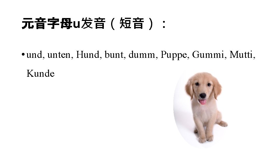 元音字母u发音（短音）： • und, unten, Hund, bunt, dumm, Puppe, Gummi, Mutti, Kunde 