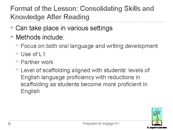 Format of the Lesson: Consolidating Skills and Knowledge After Reading Can take place in