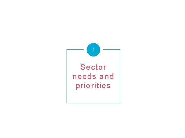 1 Sector needs and priorities 