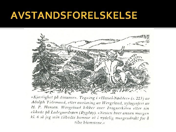 AVSTANDSFORELSKELSE 