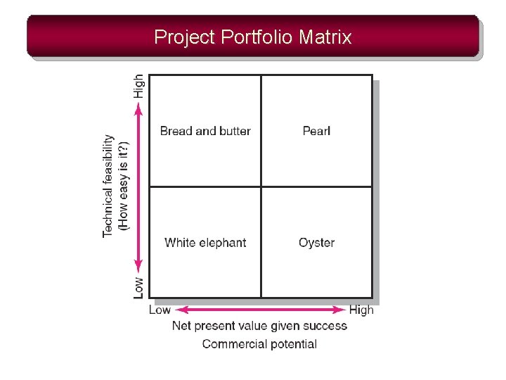 Project Portfolio Matrix 
