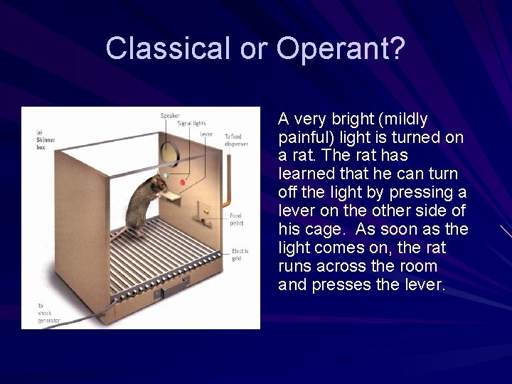Classical or Operant? A very bright (mildly painful) light is turned on a rat.