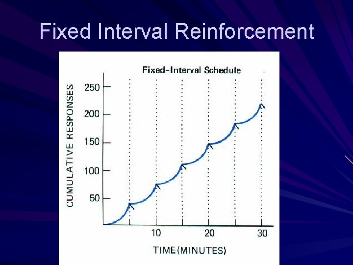 Fixed Interval Reinforcement 