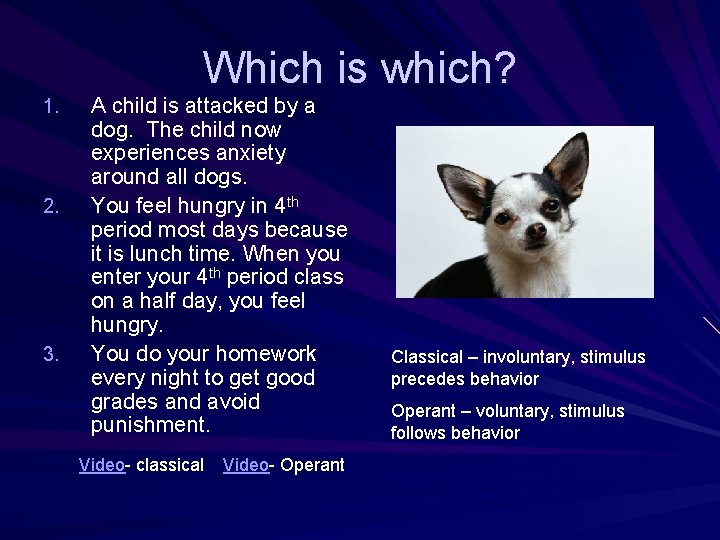 Which is which? 1. 2. 3. A child is attacked by a dog. The