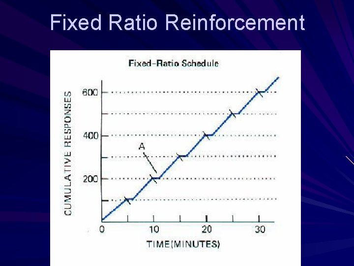 Fixed Ratio Reinforcement 