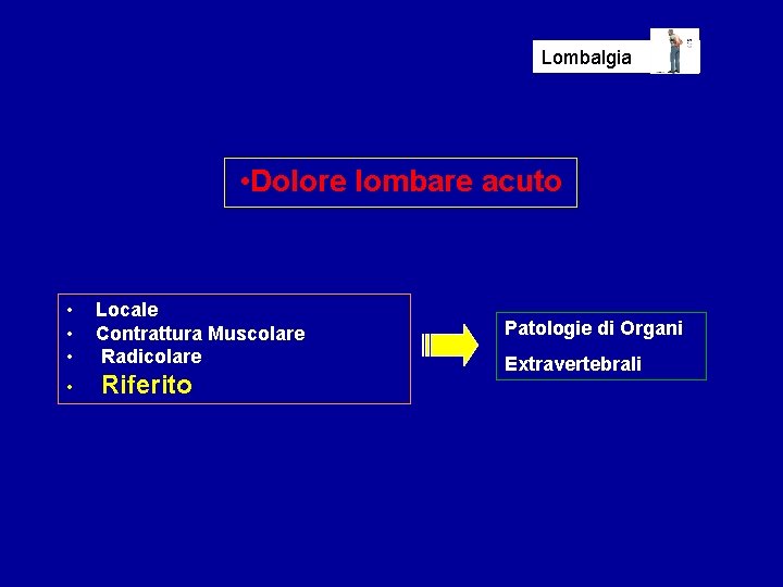 Lombalgia • Dolore lombare acuto • • Locale Contrattura Muscolare Radicolare Riferito Patologie di