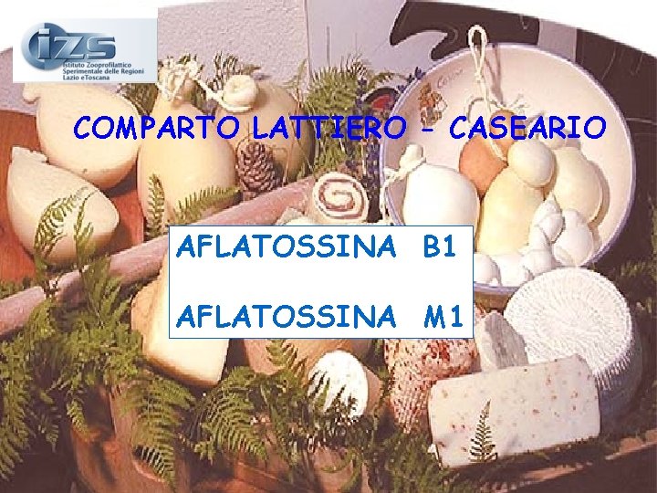 COMPARTO LATTIERO - CASEARIO AFLATOSSINA B 1 AFLATOSSINA M 1 