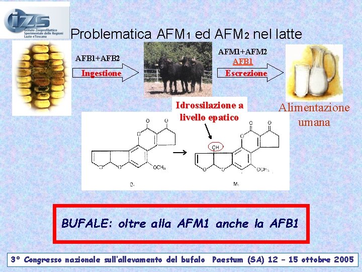 Problematica AFM 1 ed AFM 2 nel latte AFB 1+AFB 2 AFM 1+AFM 2