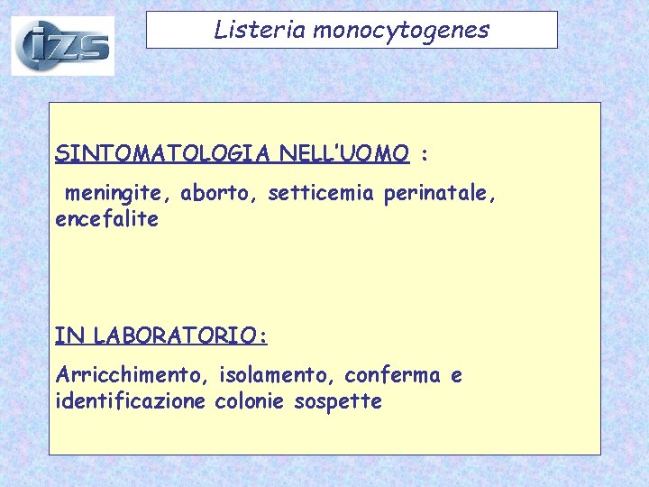 Listeria monocytogenes SINTOMATOLOGIA NELL’UOMO : meningite, aborto, setticemia perinatale, encefalite IN LABORATORIO: Arricchimento, isolamento,