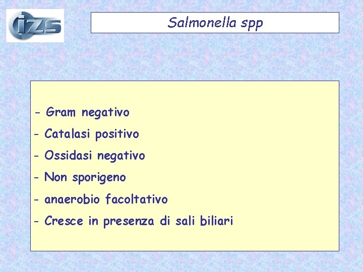 Salmonella spp - Gram negativo - Catalasi positivo - Ossidasi negativo - Non sporigeno Salmonella spp - Gram negativo - Catalasi positivo - Ossidasi negativo - Non sporigeno