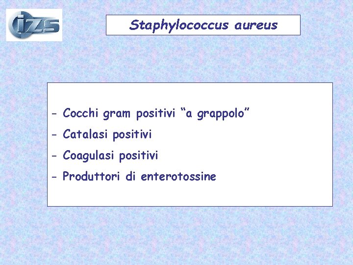 Staphylococcus aureus - Cocchi gram positivi “a grappolo” - Catalasi positivi - Coagulasi positivi