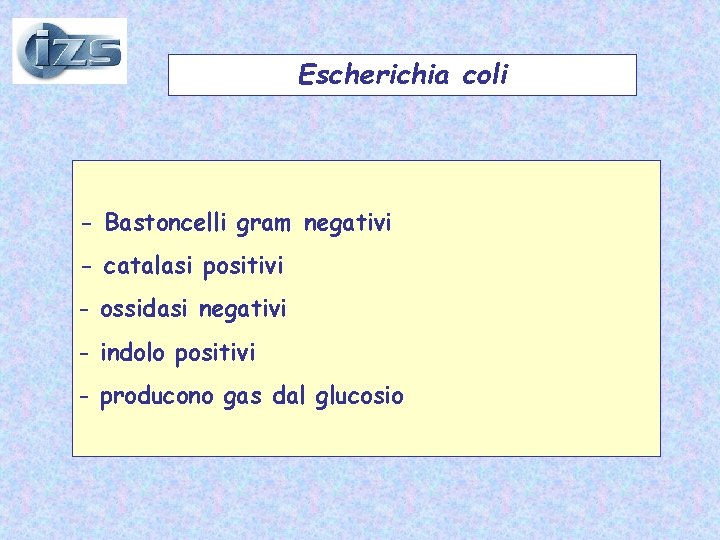 Escherichia coli - Bastoncelli gram negativi - catalasi positivi - ossidasi negativi - indolo