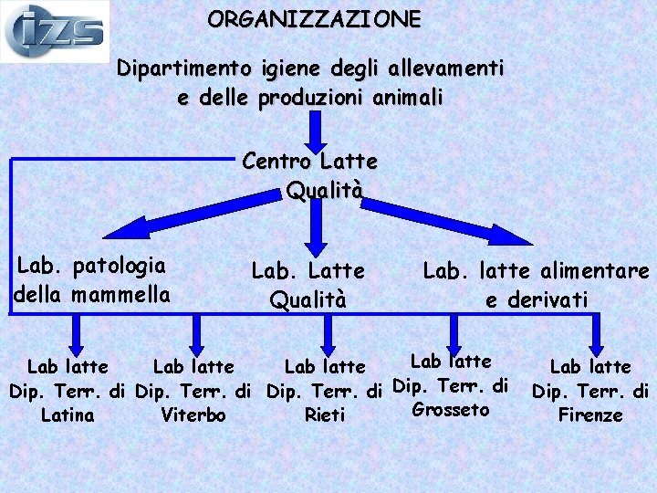 ORGANIZZAZIONE Dipartimento igiene degli allevamenti e delle produzioni animali Centro Latte Qualità Lab. patologia ORGANIZZAZIONE Dipartimento igiene degli allevamenti e delle produzioni animali Centro Latte Qualità Lab. patologia