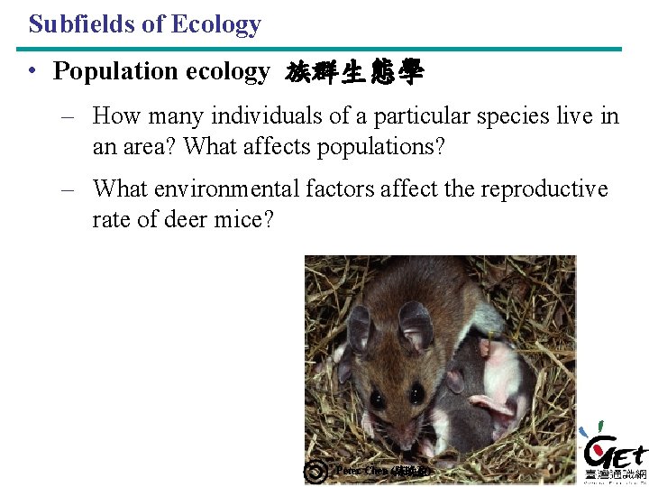 Subfields of Ecology • Population ecology 族群生態學 – How many individuals of a particular
