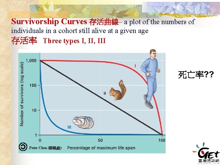 Survivorship Curves 存活曲線– a plot of the numbers of individuals in a cohort still