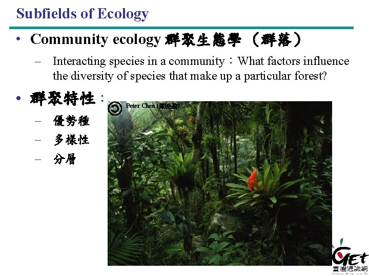 Subfields of Ecology • Community ecology 群聚生態學 （群落） – Interacting species in a community：What