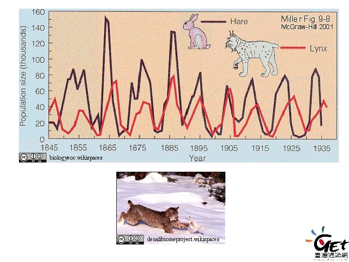 biologyeoc. wikispaces denalibiomeproject. wikispaces 