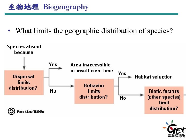 生物地理 Biogeography • What limits the geographic distribution of species? Peter Chen (陈晚盈) 