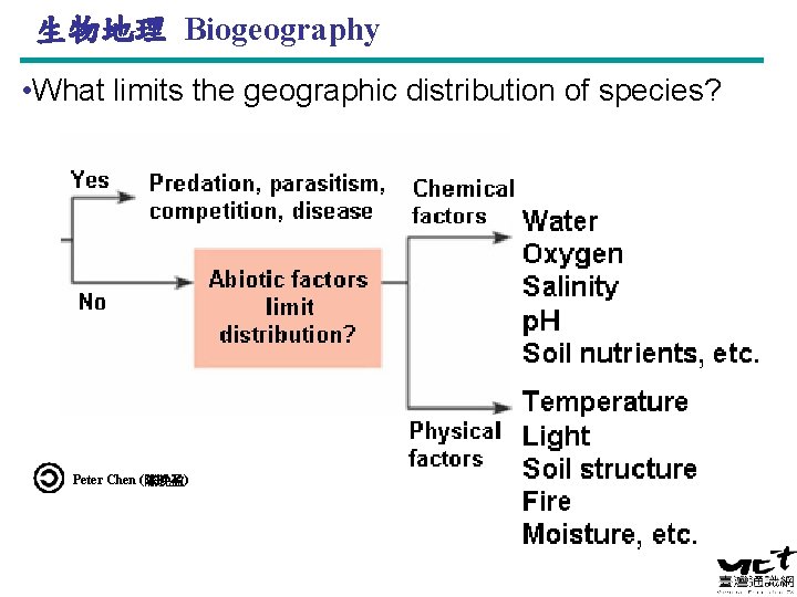 生物地理 Biogeography • What limits the geographic distribution of species? Peter Chen (陈晚盈) 