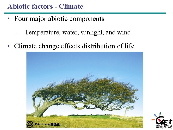 Abiotic factors - Climate • Four major abiotic components – Temperature, water, sunlight, and