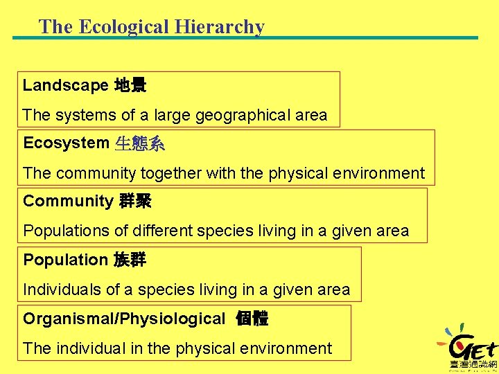 The Ecological Hierarchy Landscape 地景 The systems of a large geographical area Ecosystem 生態系