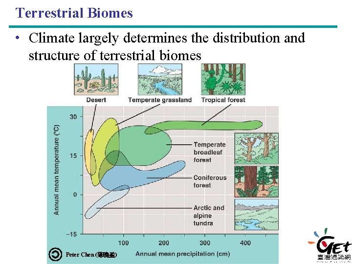 Terrestrial Biomes • Climate largely determines the distribution and structure of terrestrial biomes Peter