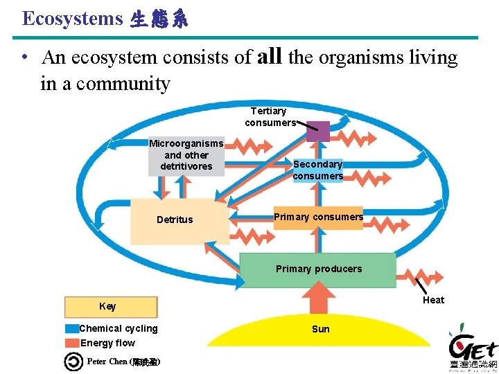Ecosystems 生態系 • An ecosystem consists of all the organisms living in a community