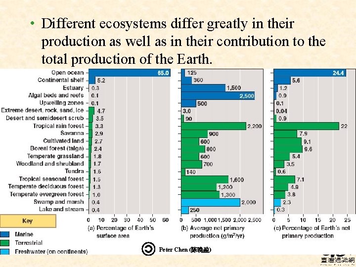  • Different ecosystems differ greatly in their production as well as in their
