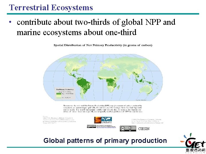 Terrestrial Ecosystems • contribute about two-thirds of global NPP and marine ecosystems about one-third