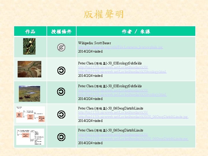 版權聲明 作品 授權條件 作者 / 來源 Wikipedia: Scott Bauer http: //zh. wikipedia. org/wiki/File: Leucaena_leucocephala.