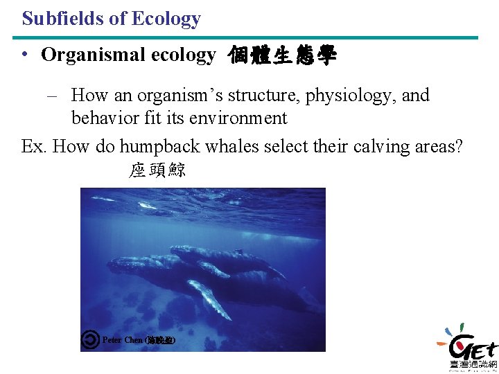 Subfields of Ecology • Organismal ecology 個體生態學 – How an organism’s structure, physiology, and