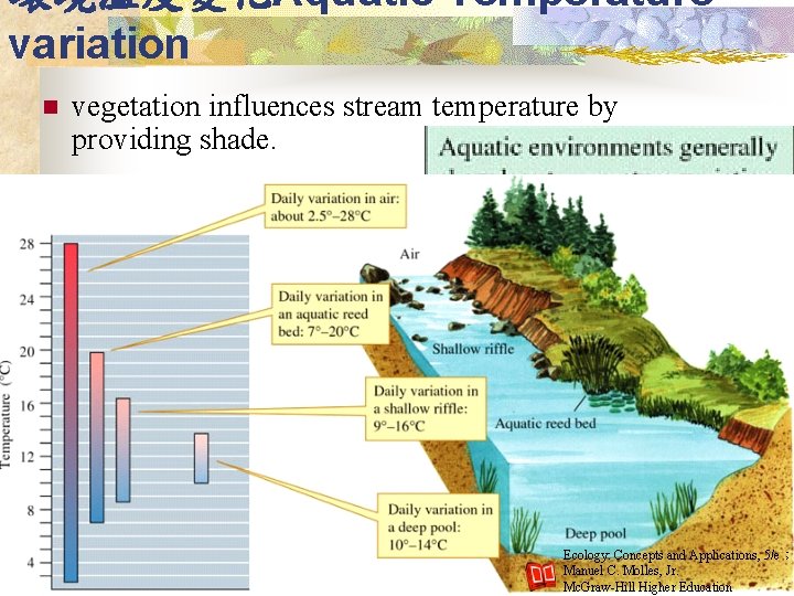 環境溫度變化Aquatic Temperature variation n vegetation influences stream temperature by providing shade. Ecology: Concepts and
