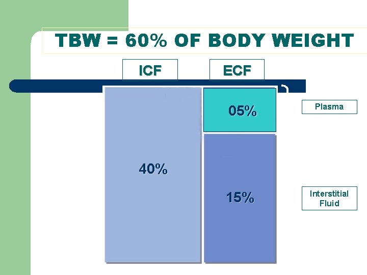 TBW = 60% OF BODY WEIGHT ICF ECF 05% Plasma 40% 15% Interstitial Fluid TBW = 60% OF BODY WEIGHT ICF ECF 05% Plasma 40% 15% Interstitial Fluid