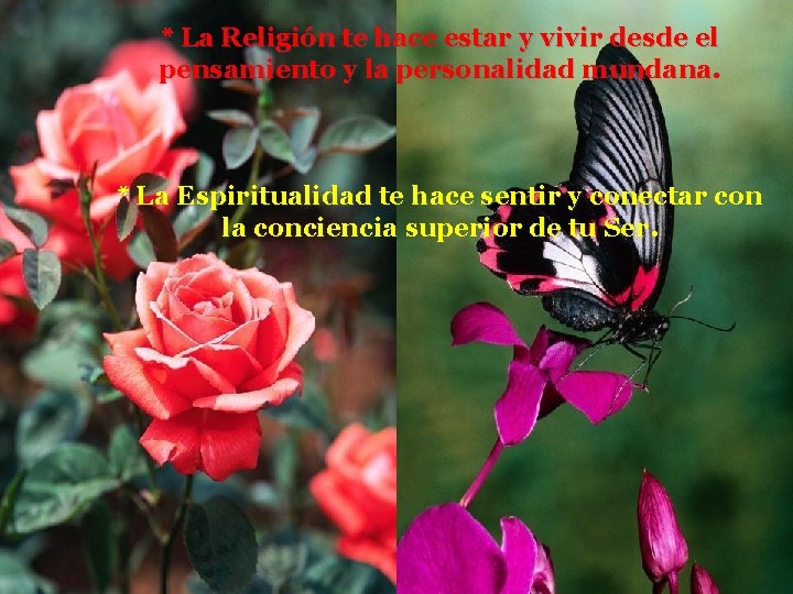 * La Religión te hace estar y vivir desde el pensamiento y la personalidad