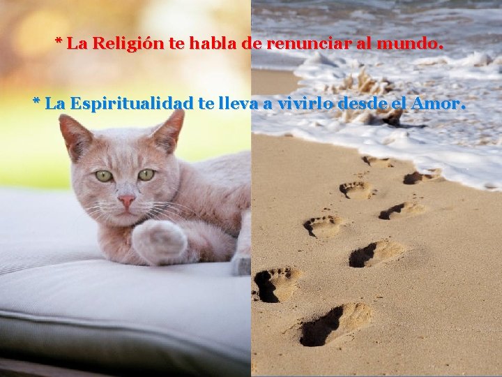 * La Religión te habla de renunciar al mundo. * La Espiritualidad te lleva