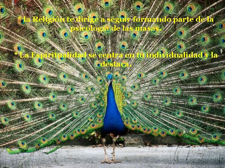 * la Religión te dirige a seguir formando parte de la psicología de las