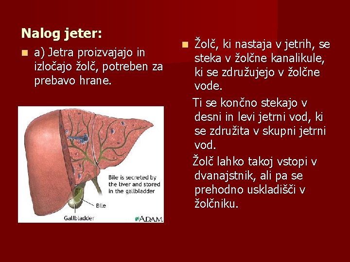 Nalog jeter: a) Jetra proizvajajo in izločajo žolč, potreben za prebavo hrane. Žolč, ki