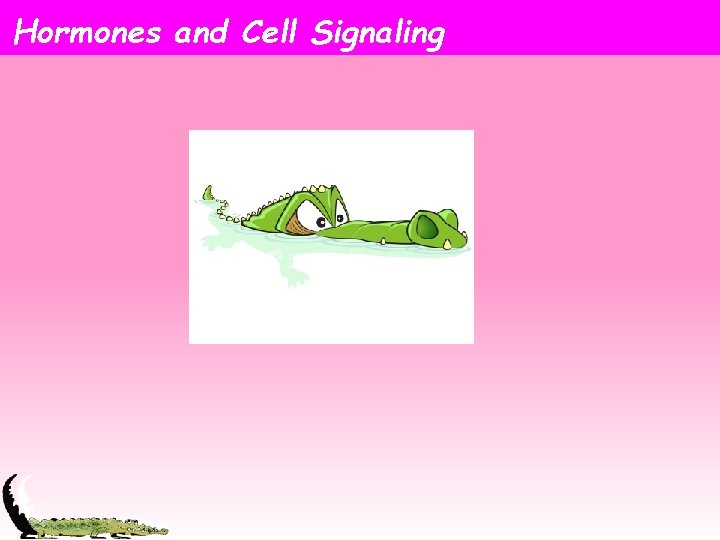 Hormones and Cell Signaling 