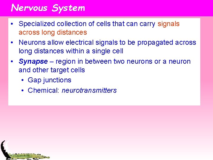 Nervous System • Specialized collection of cells that can carry signals across long distances