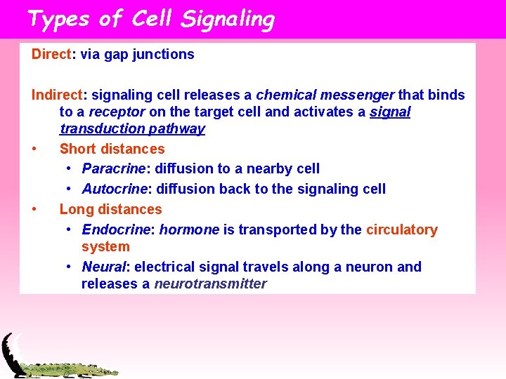 Types of Cell Signaling Direct: via gap junctions Indirect: signaling cell releases a chemical