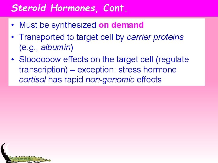 Steroid Hormones, Cont. • Must be synthesized on demand • Transported to target cell