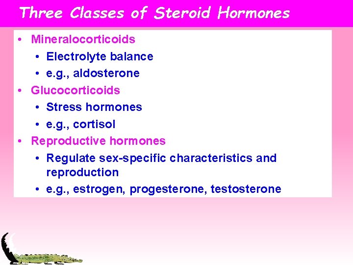Three Classes of Steroid Hormones • Mineralocorticoids • Electrolyte balance • e. g. ,