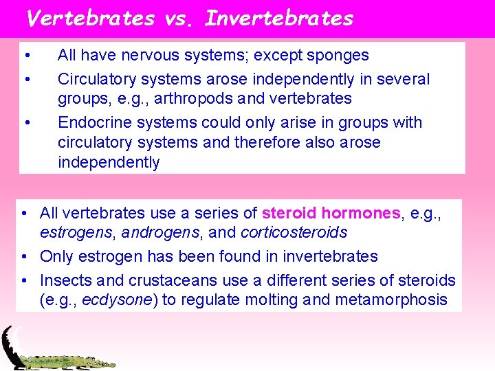 Vertebrates vs. Invertebrates • • • All have nervous systems; except sponges Circulatory systems