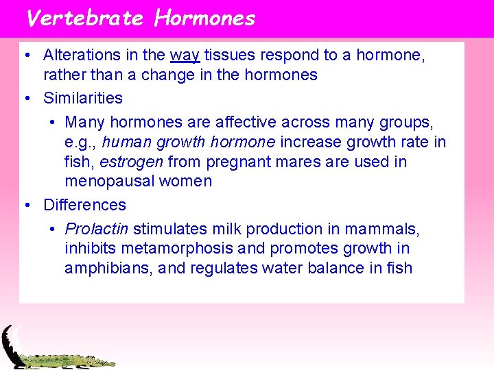 Vertebrate Hormones • Alterations in the way tissues respond to a hormone, rather than