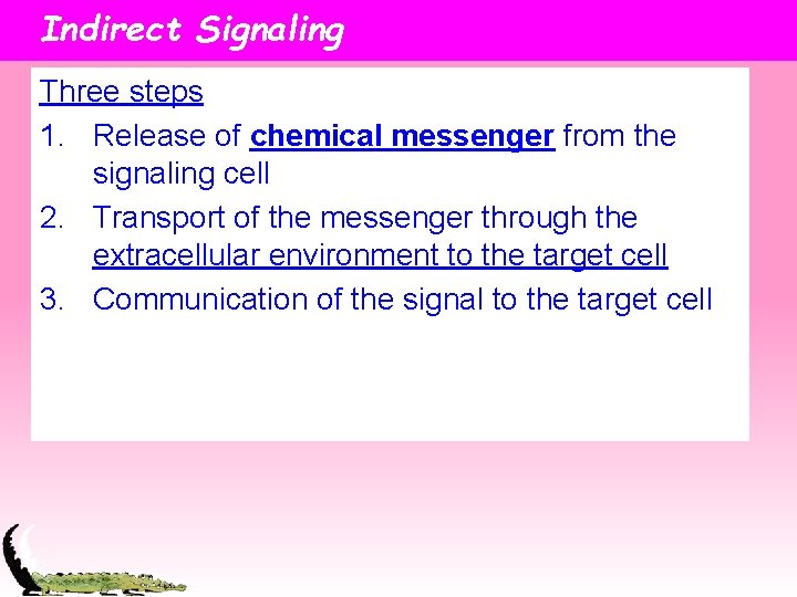 Indirect Signaling Three steps 1. Release of chemical messenger from the signaling cell 2.